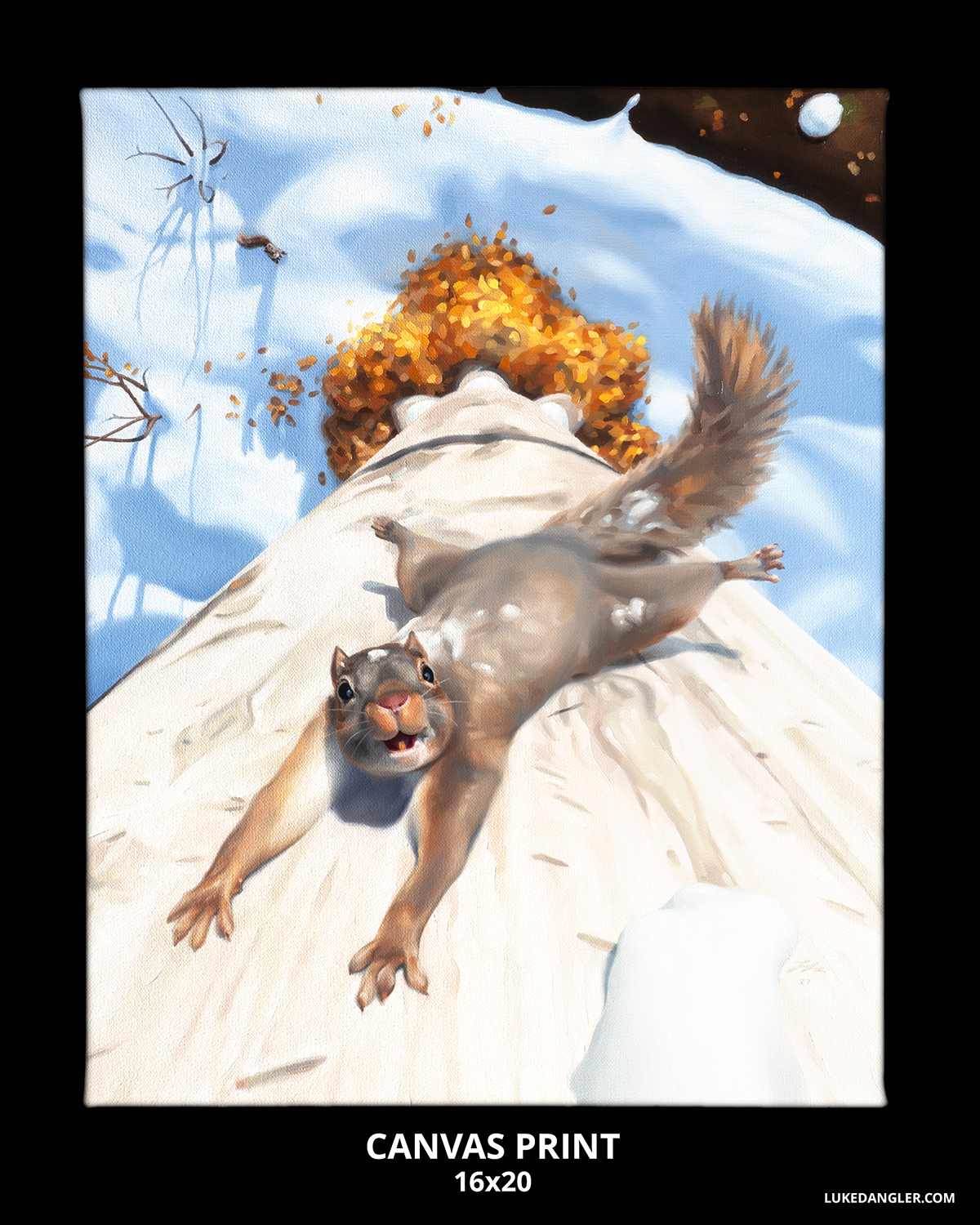 Flying Squirrel Print